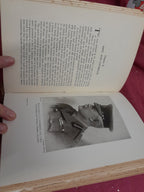 47th London Division History