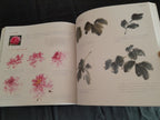 Chinese Brush Painting Instruction book