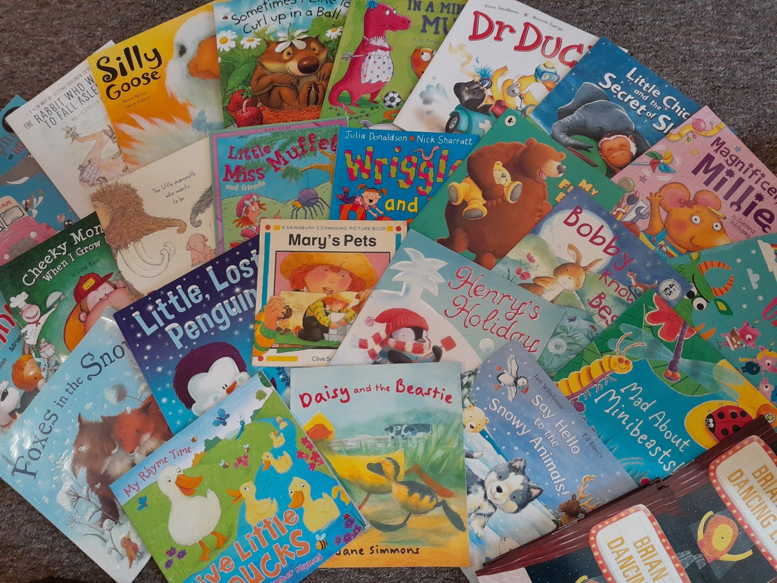 Childrens animal picture books 