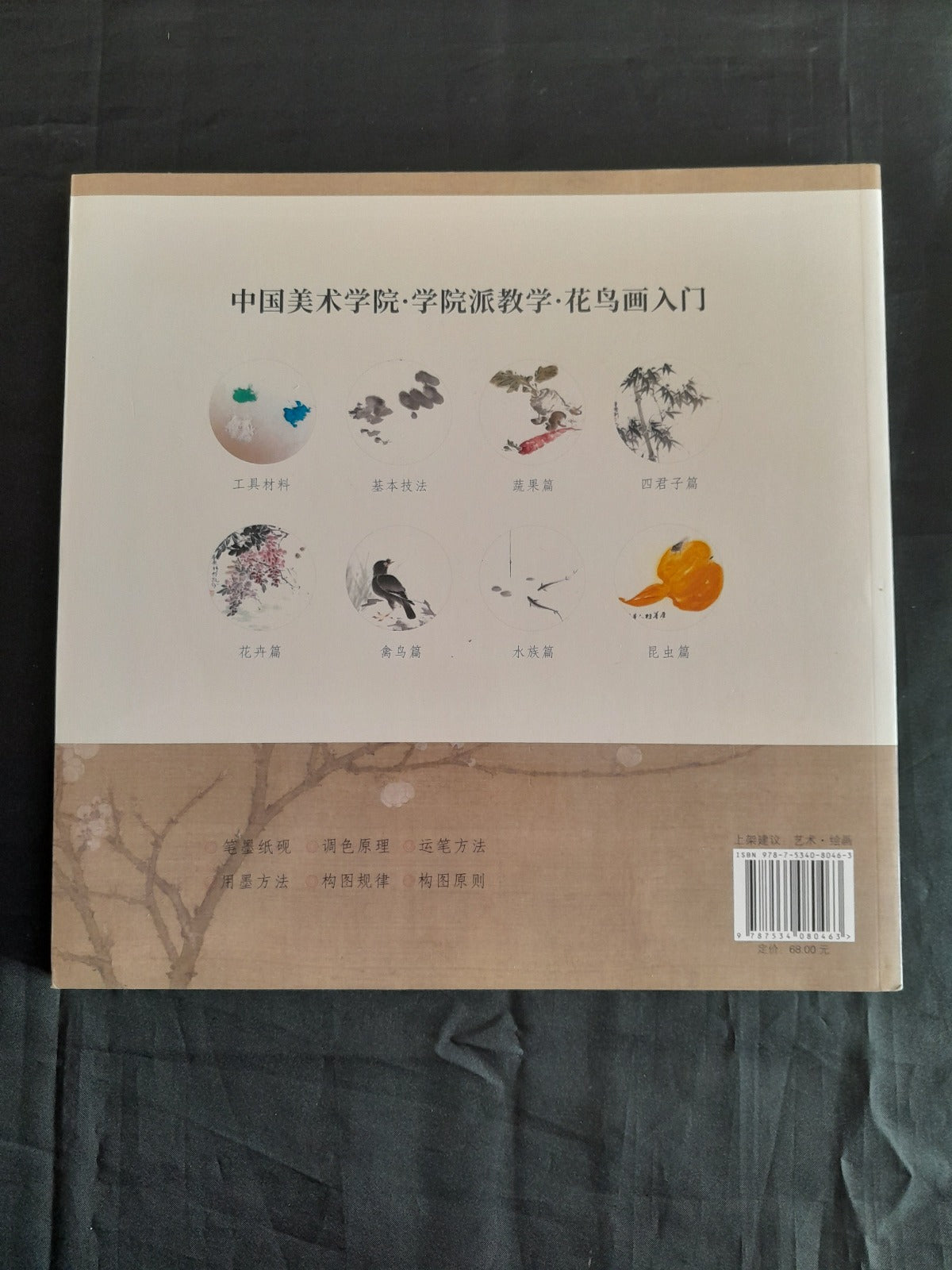 Chinese Brush Painting Instruction book