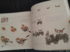 Chinese Brush Painting Instruction book