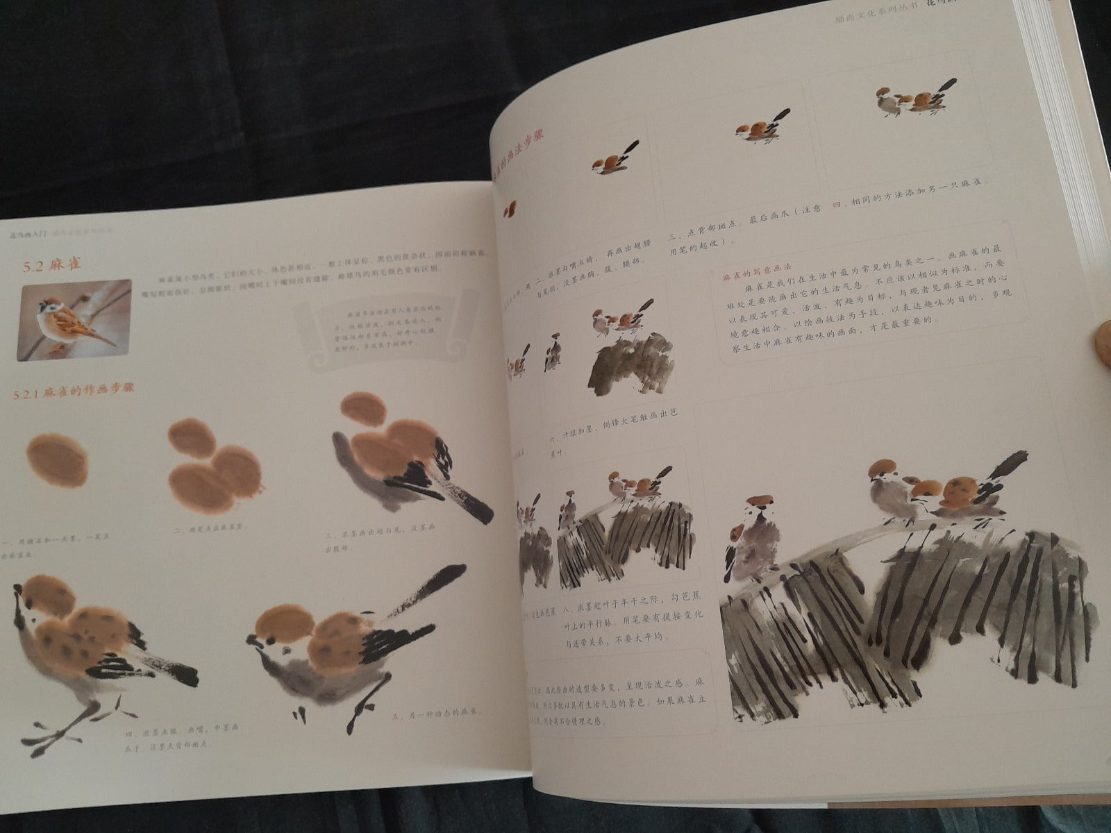 Chinese Brush Painting Instruction book