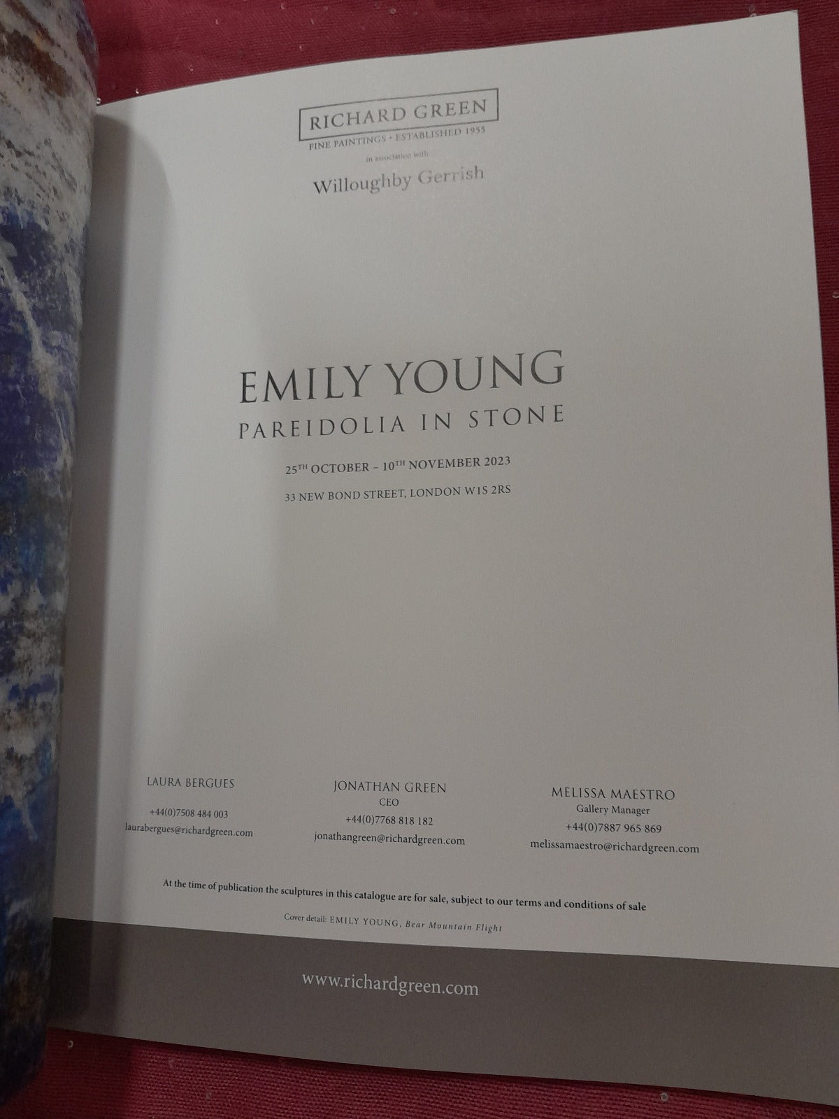 Emily Young sculpure exhibition catalogue Pareidolia in stone