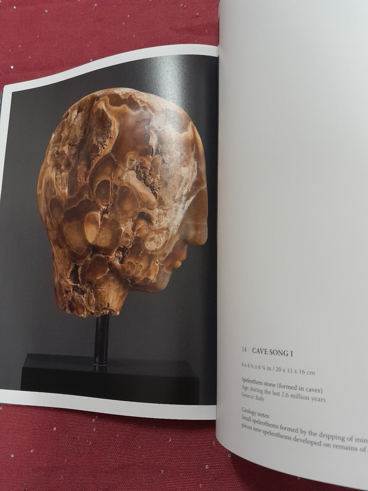 Emily Young sculpure exhibition catalogue Pareidolia in stone