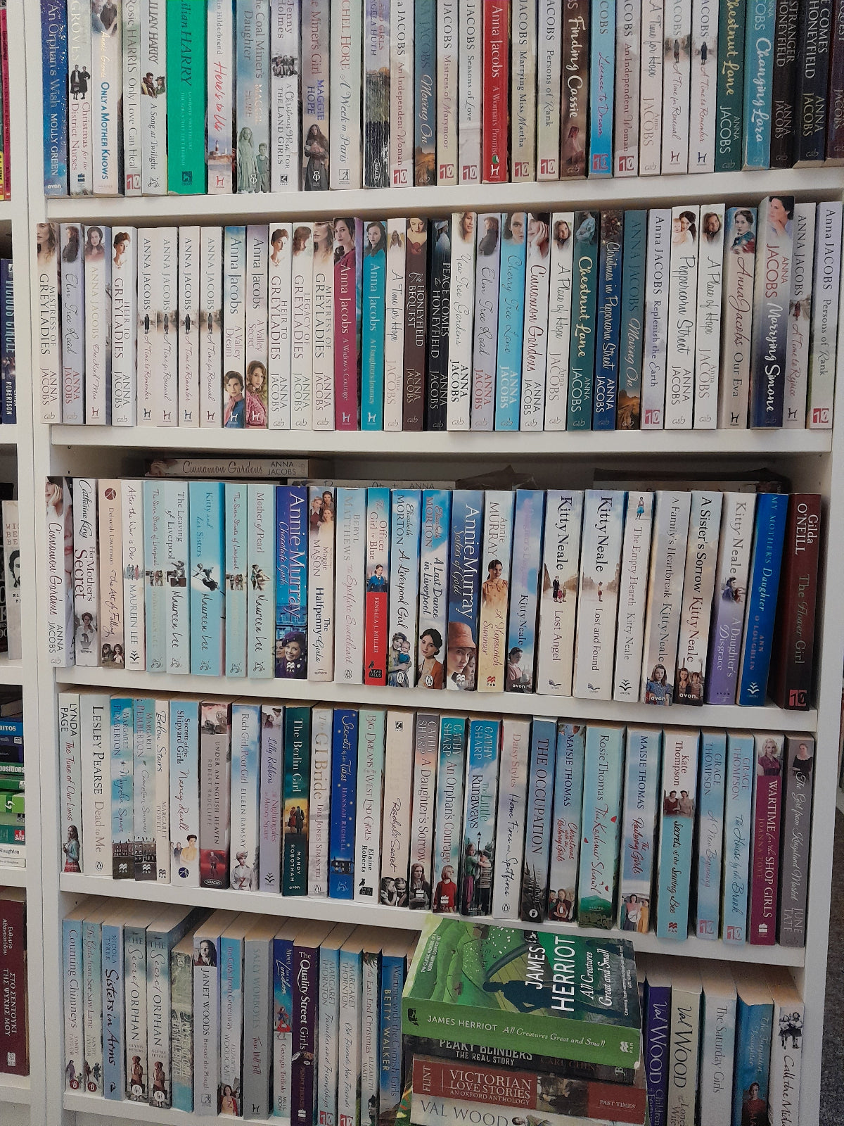 Saga x 20 paperbacks book pack