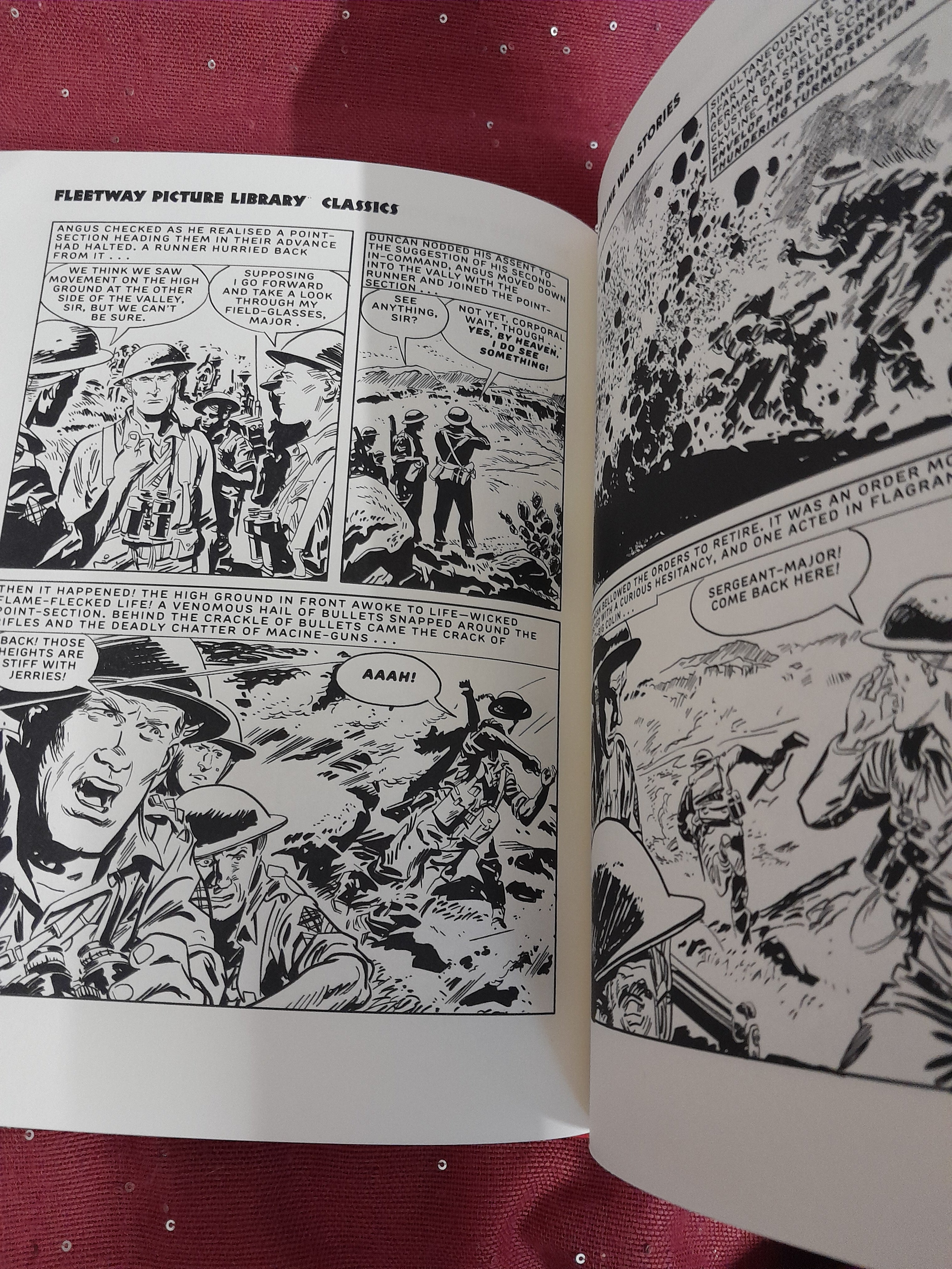 Frontline War Stories: Fleetway Picture Library Classics