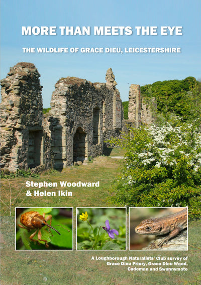 Book cover of 'More Than Meets The Eye' featuring ruins and nature, with authors' names and images of wildlife.