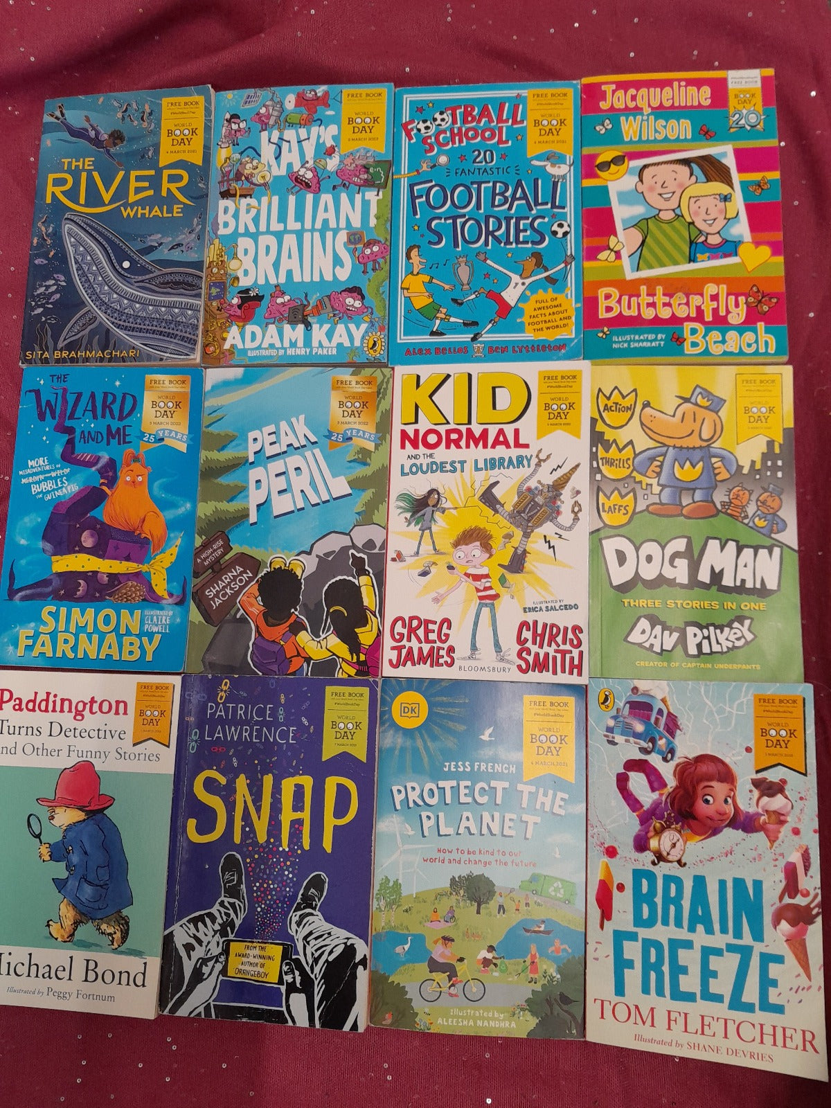 World book day mini books