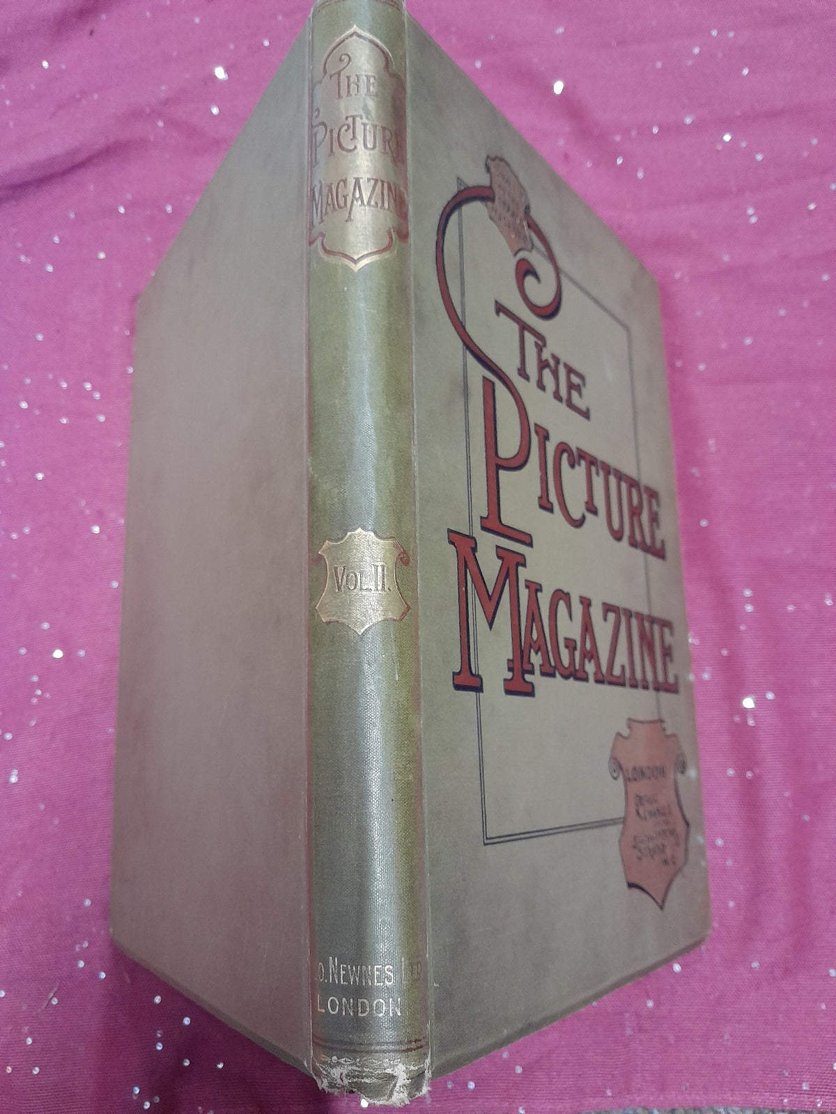 Picture_Magazine_1893