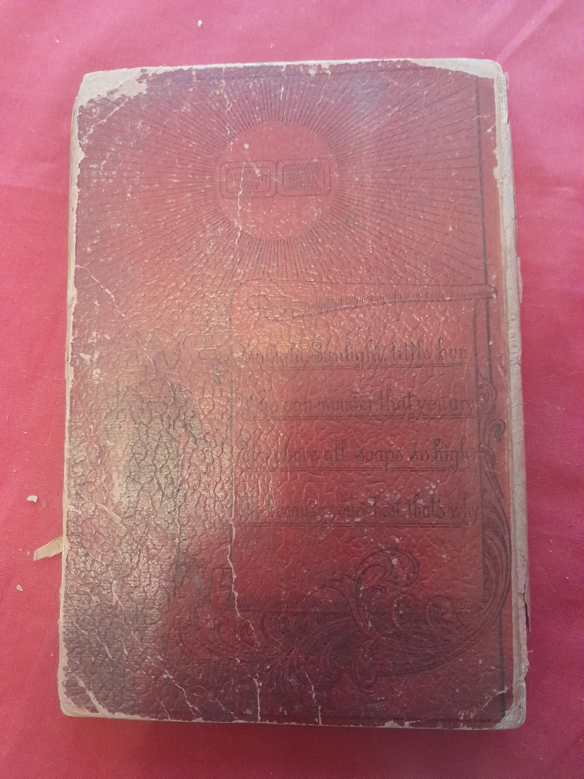 Sunlight-Almanac-1899