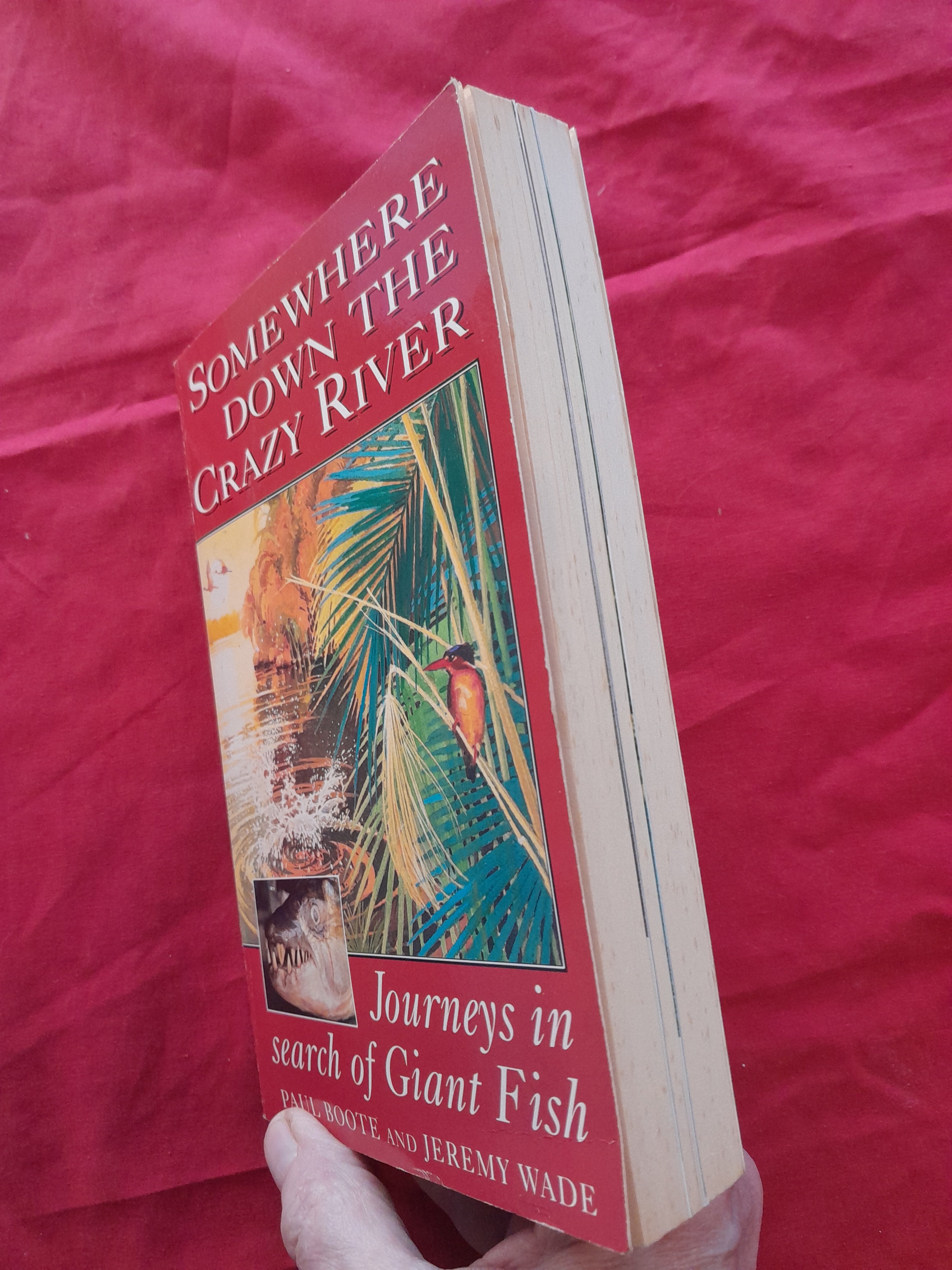 Somewhere Down the Crazy River 1st Edition - Old Curiosity Bookshop