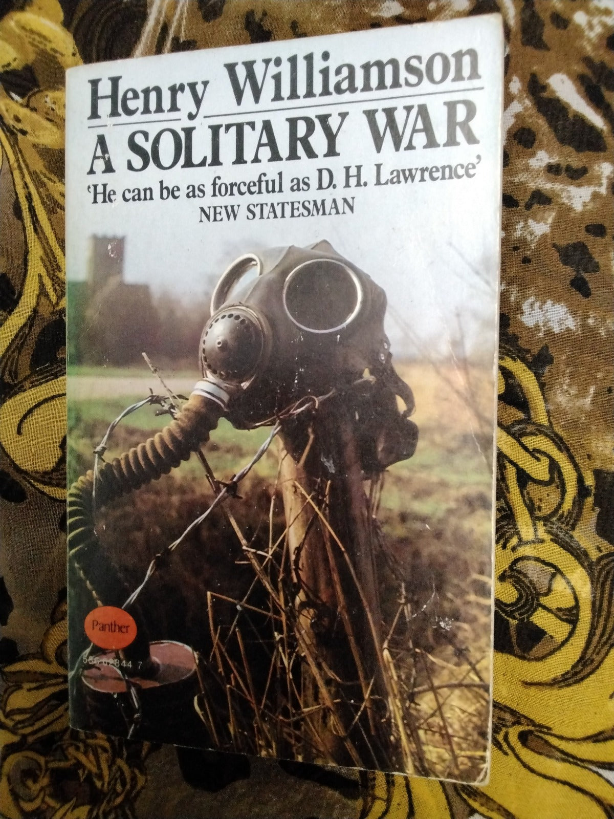 A Solitary War Henry Williamson