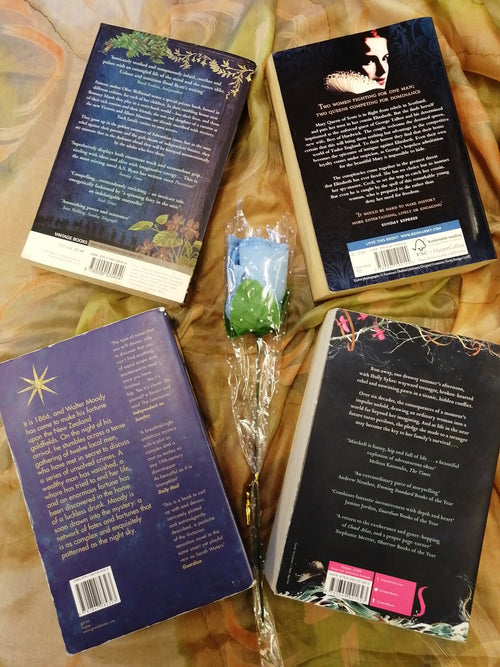 Bookshop Fairy Blue Book Pack