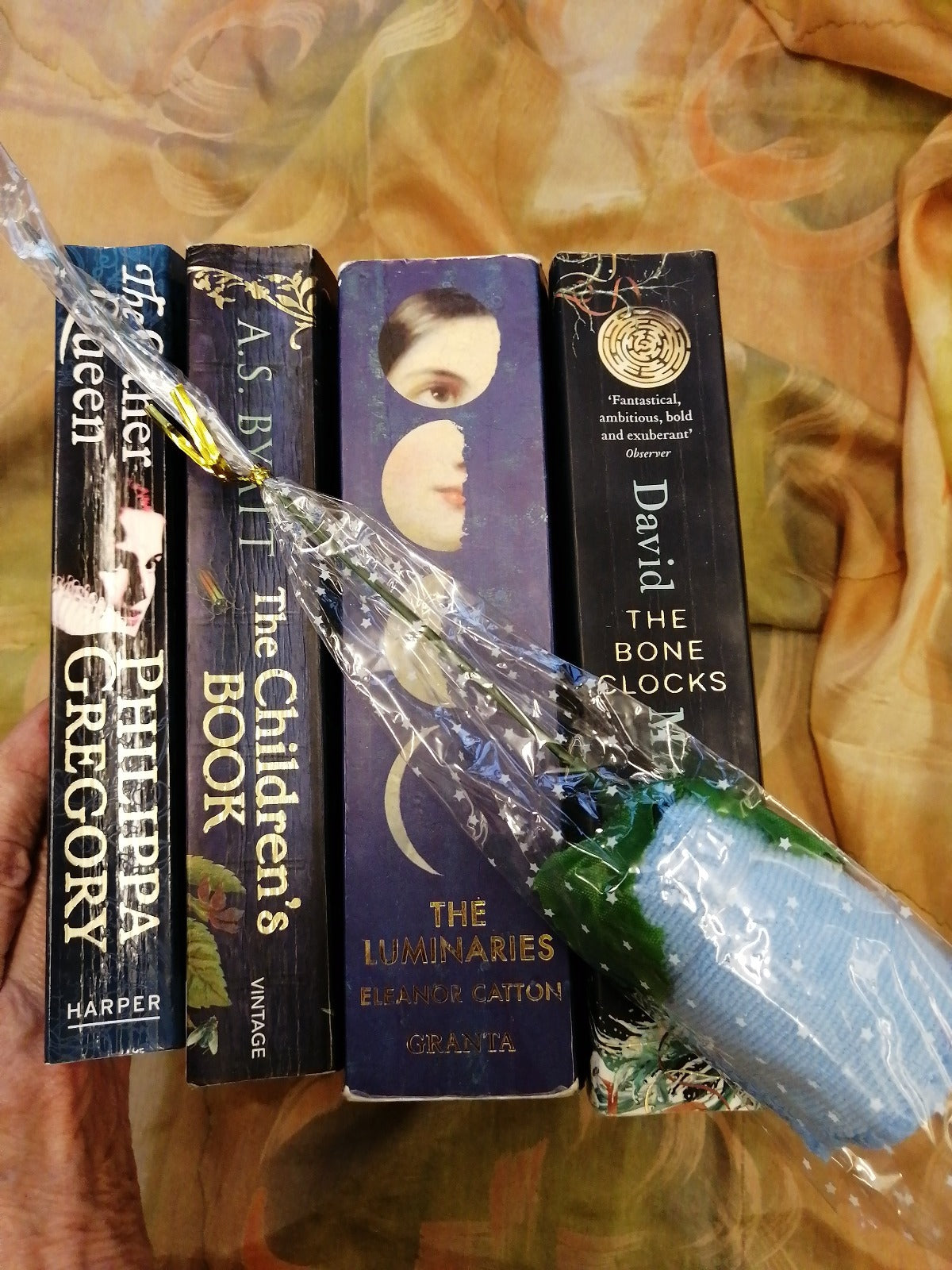 Bookshop Fairy Blue Book Pack