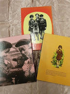 Brownie Annuals 3 Book Pack - Old Curiosity Bookshop