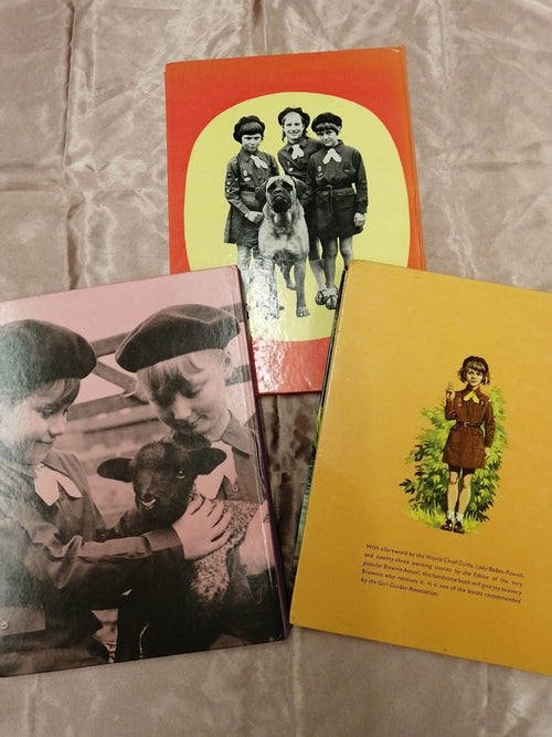 Brownie Annuals 3 Book Pack - Old Curiosity Bookshop