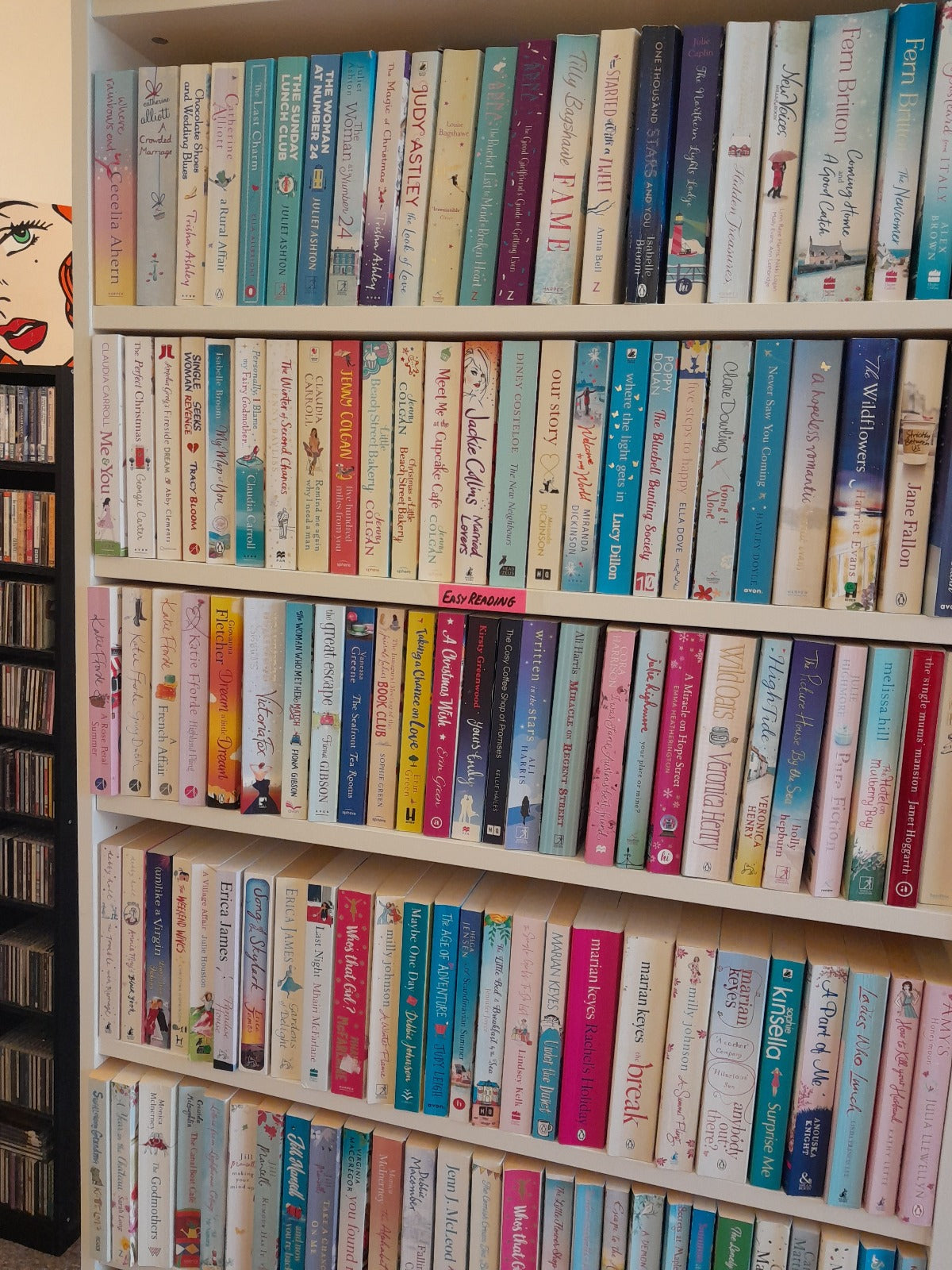 Chicklit 20 books bundle