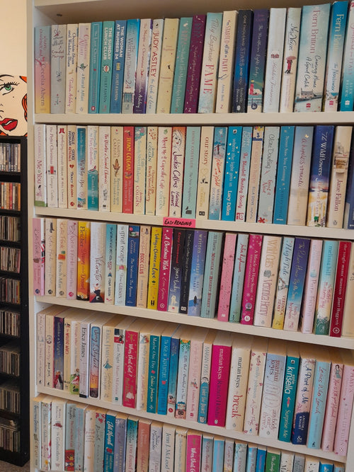 Chicklit 20 books bundle