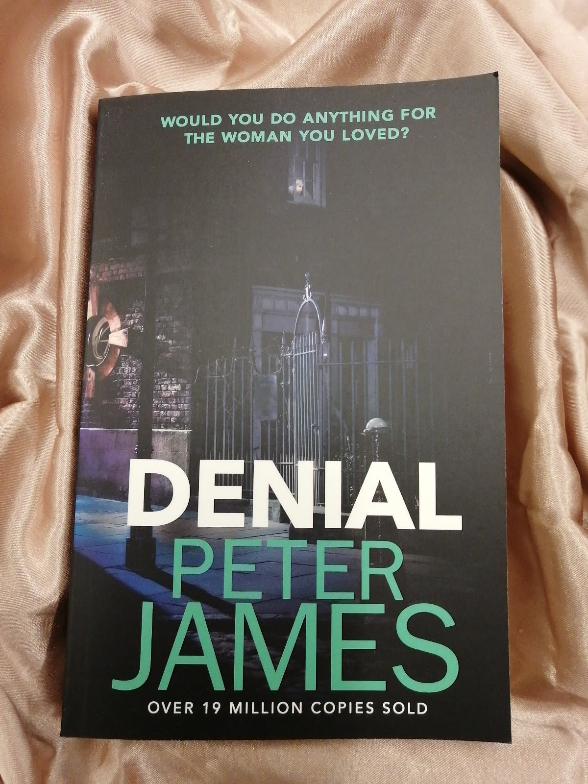 Denial Peter James New Paperback