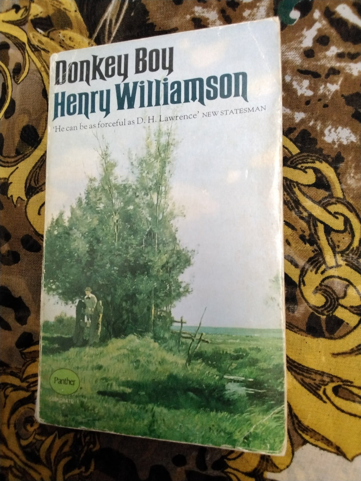 Donkey Boy Henry Williamson