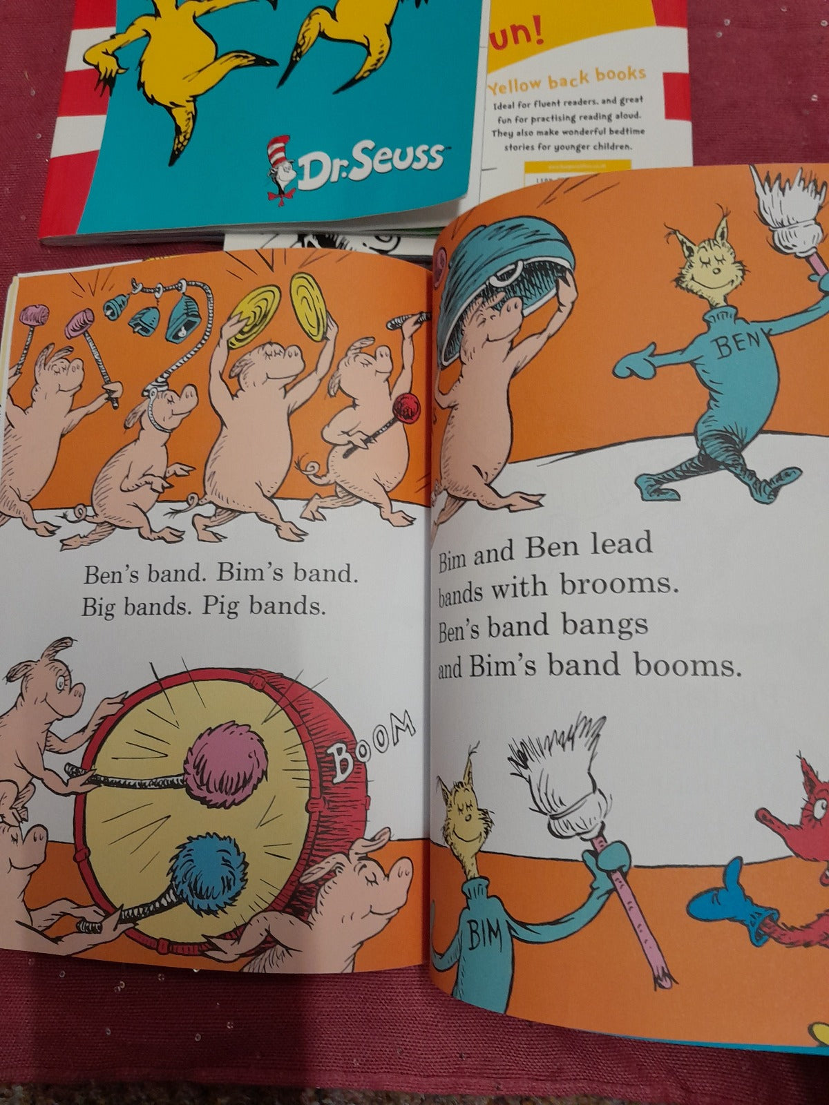 Dr Seuss Childrens Books