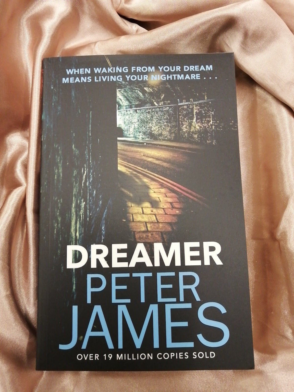 Dreamer Peter James NEW Paperback