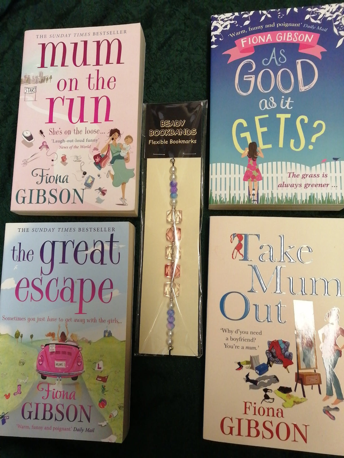 Fiona Gibson books 