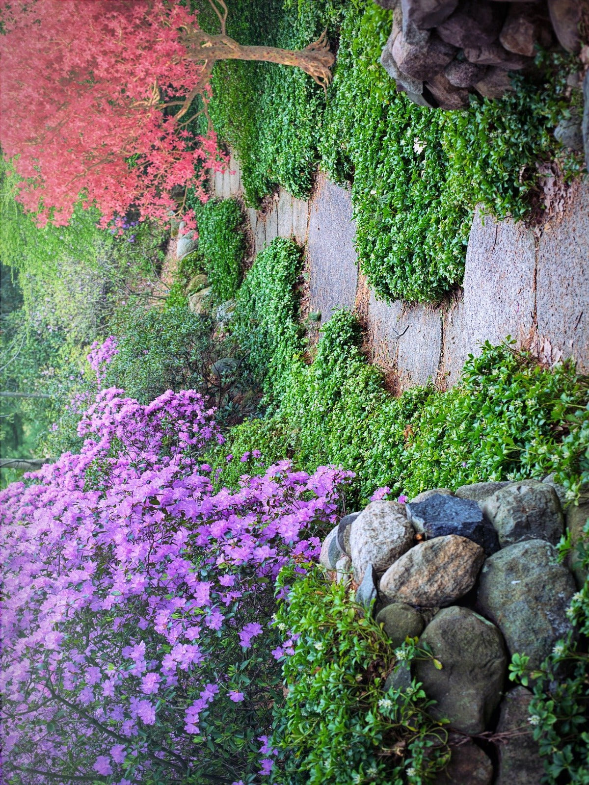 Gardening Tips Monthly Book Club - Old Curiosity Bookshop