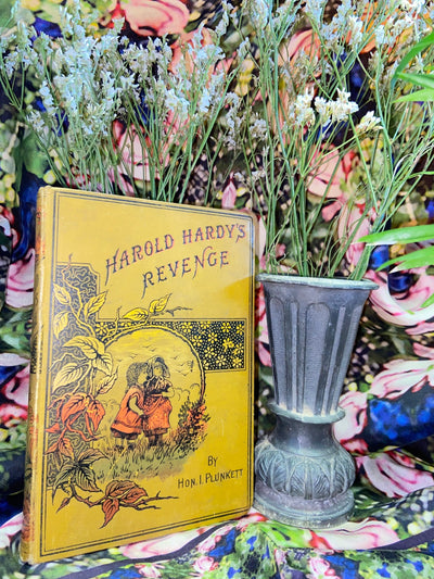 Harold Hardys Revenge Isabel Plunkett