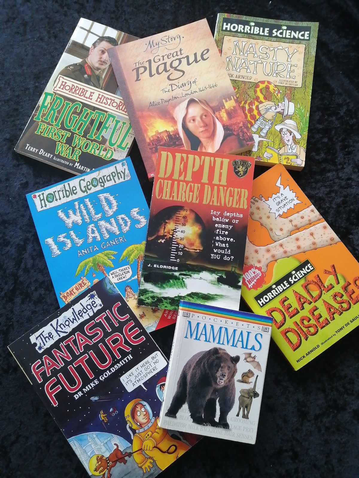Home School Key Stage 2 Book Packs - Old Curiosity Bookshop