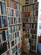 Fiction Mystery Bags
