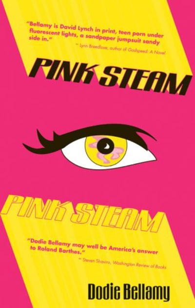 Pink Steam by Dodie Bellamy oldcuriositybookshop.co.uk 