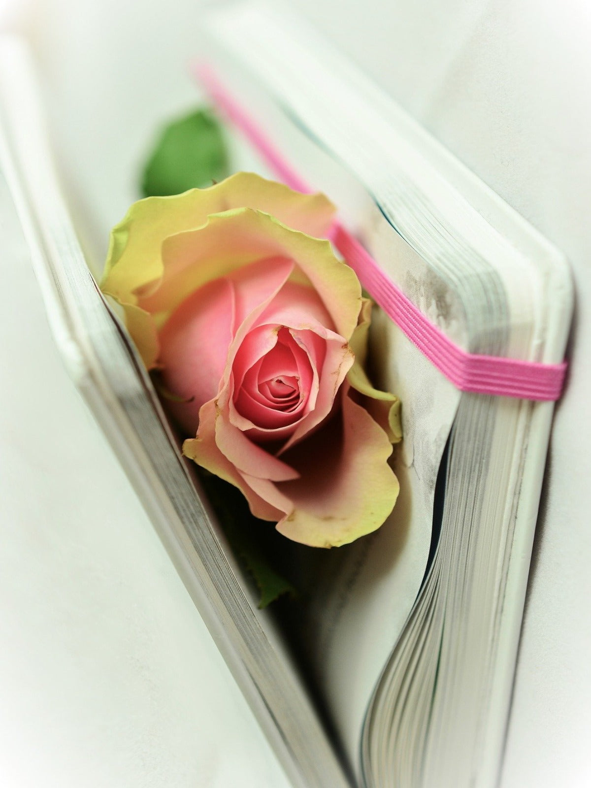 Poetry Corner Monthly Book Club - Old Curiosity Bookshop