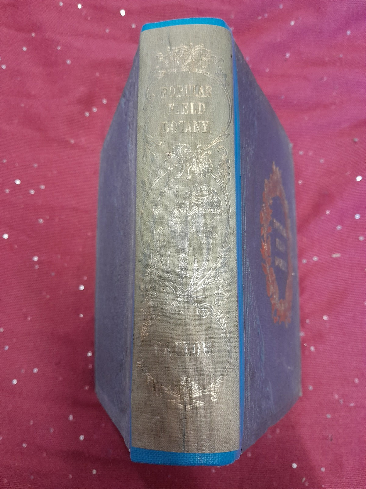Popular Field Botany Agnes Catlow