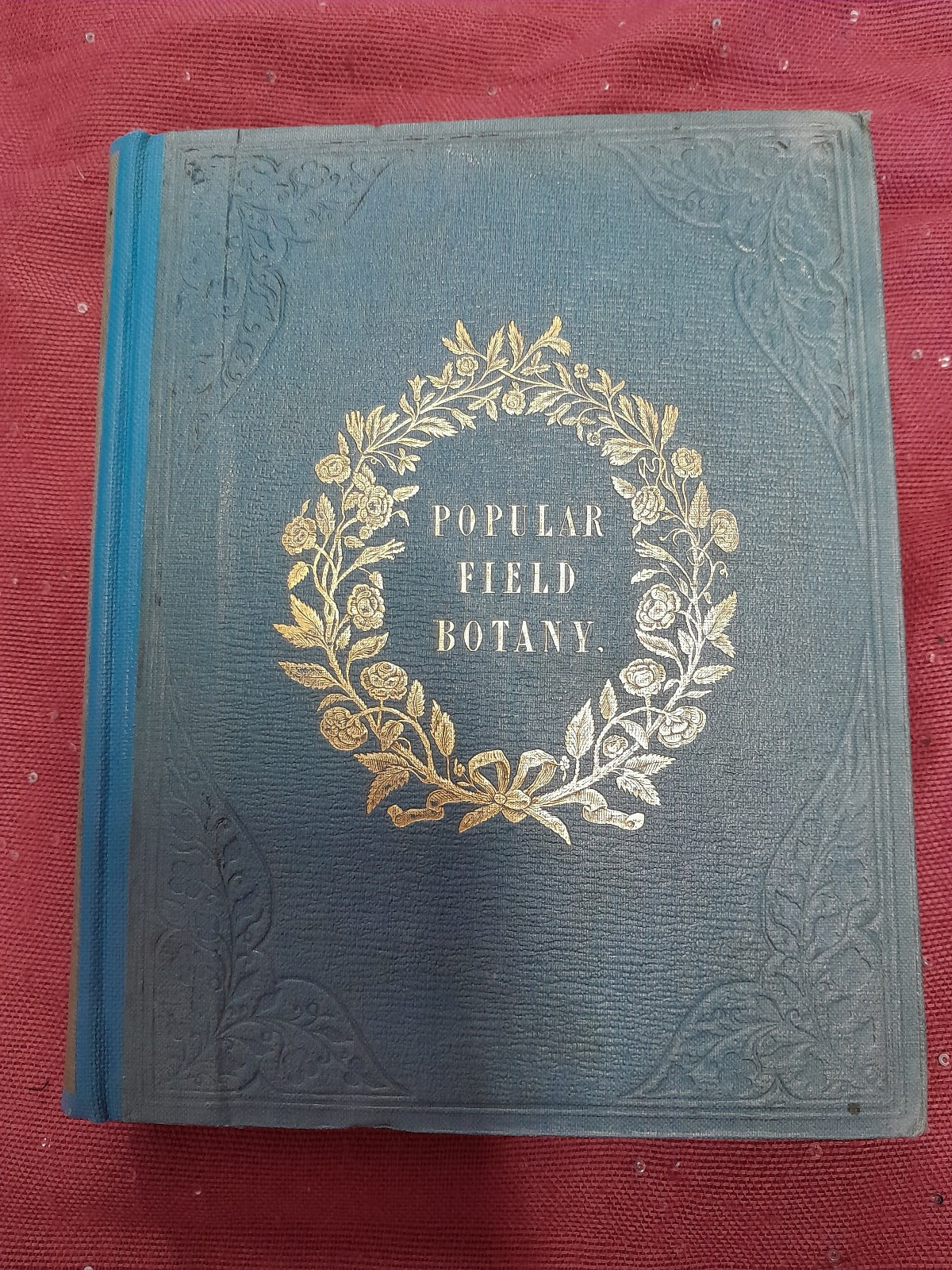Popular Field Botany Agnes Catlow