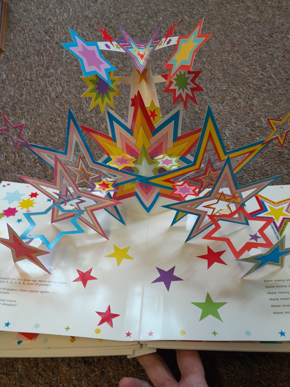 How Many Popup Paper Sculptures - Old Curiosity Bookshop