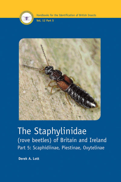 Staphylinidae Rove Beetles of Britain