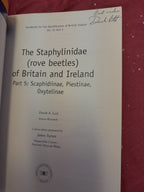 Staphylinidae